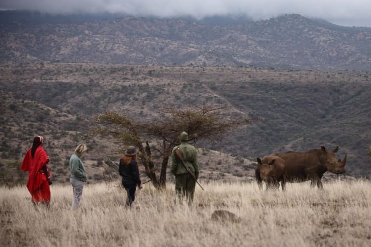 Lewa Safari Camp - Bush Walk - Rhino